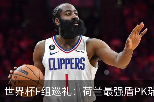 世界杯F组巡礼：荷兰最强盾PK瑞典犀利刀 日本短板明显